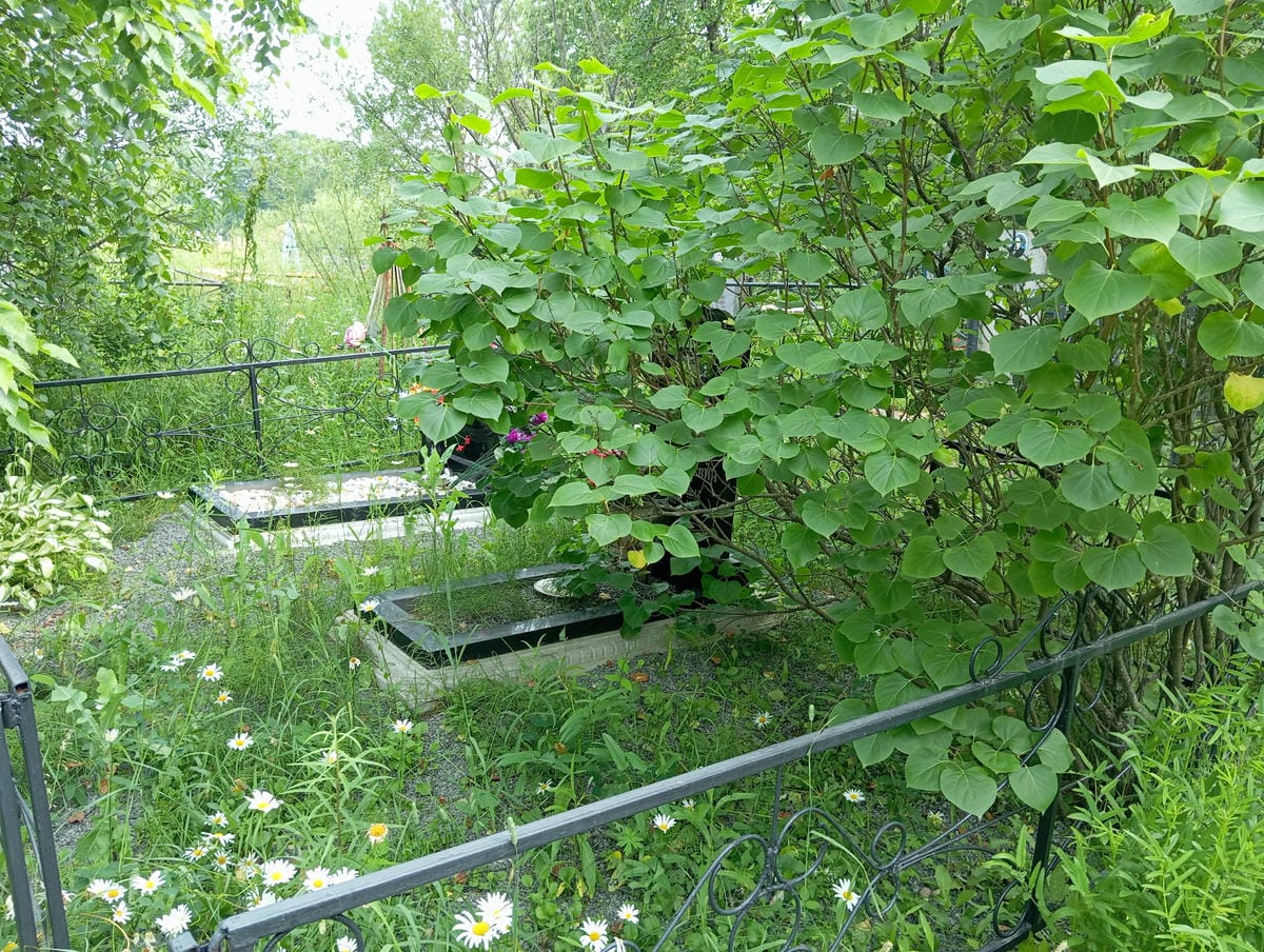 4a7b6313-d4d7-4fc0-b178-63210a986194 Поморцев Сергей Геннадьевич