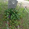 Галкина Лидия Савельевна