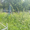 Крышталь Анатолий Антонович