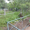 Берегеля Григорий Моисеевич