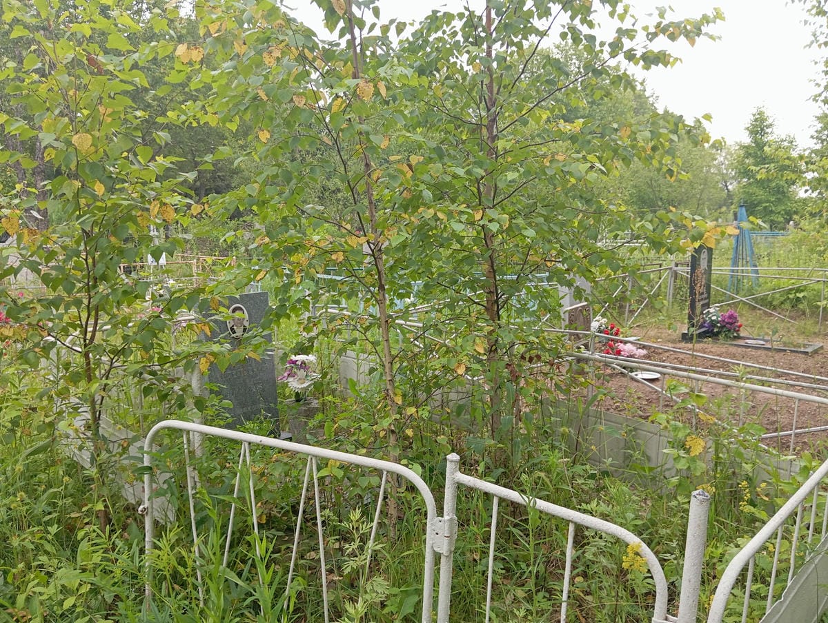 4f9e22d0-1c10-46d1-95cd-b3955e66711e Антропов Аркадий Евгеньевич