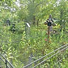 Кондрева Александра Федоровна