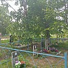 Чешкин Алексей Ильич