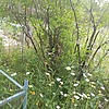 Долматов Иван Иванович