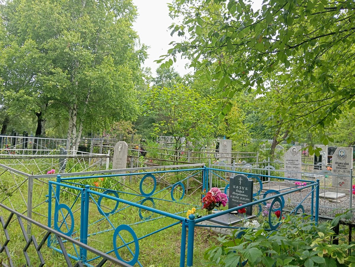 57f2cc3b-1343-4768-9ce1-57f3d9fa9c22 Козуб Софья Михайловна