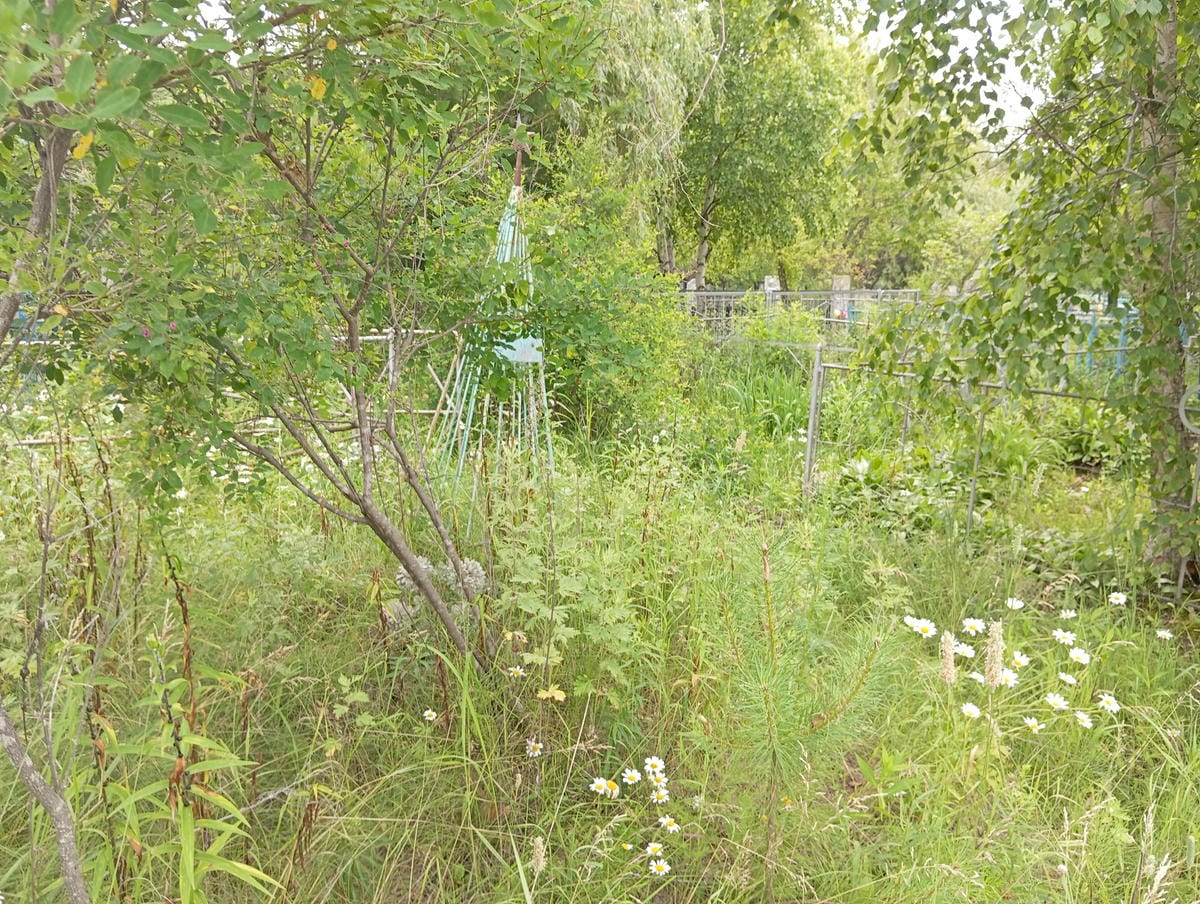 5814bf39-9fd0-4fd1-b27c-359ab52cfe7d Неизвестно Неизвестно Неизвестно
