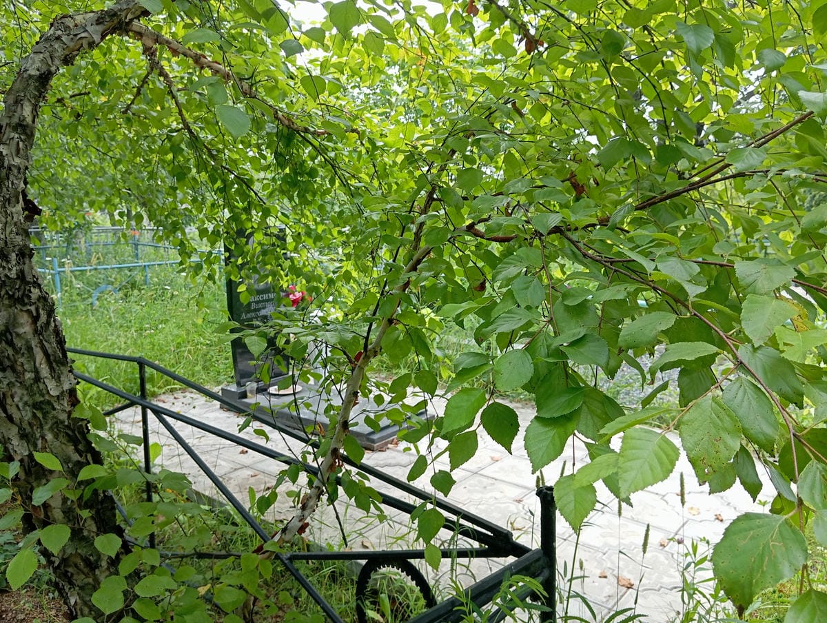 597c20ec-0443-4384-a05c-7cdee45304dc Максимов Виктор Александрович