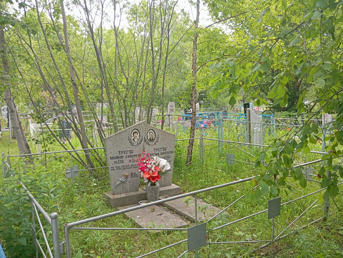 5d0ac6dd-bf97-40f1-982c-c28d5de743b8 Трегуб Владимир Ефремович