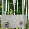 Авершина Тамара Андреевна