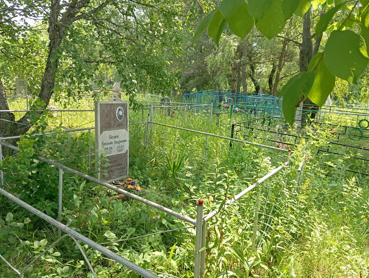 60b4212f-d330-49a4-8ef4-00770ddb89a9 Беляев Емельян Андреевич