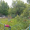 Потапенко Петр Васильевич