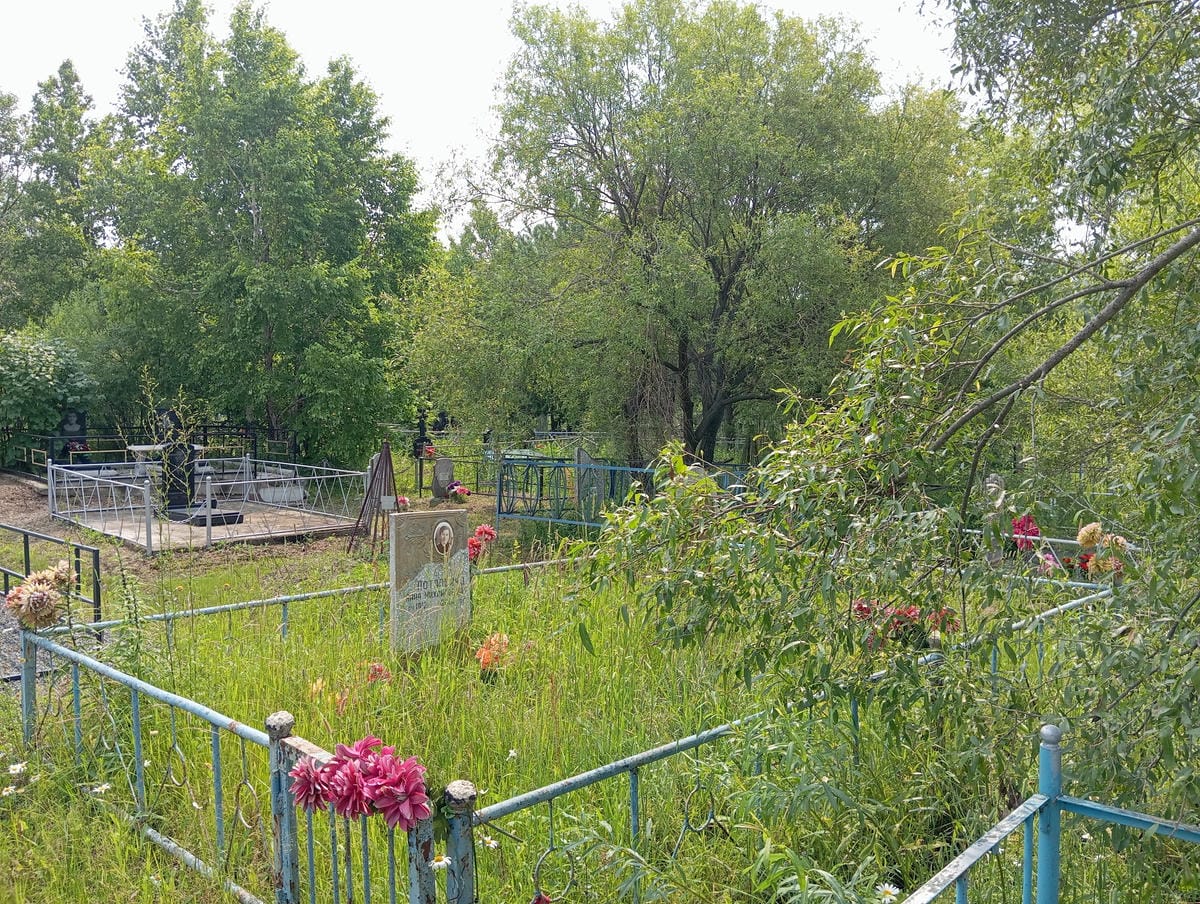 61aff471-50a1-4439-bcce-391fa031825c Потапенко Петр Васильевич