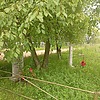 Горюнова Наталья Анатольевна