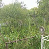 Нестерова Анна Михайловна