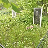 Размета Николай Владимирович