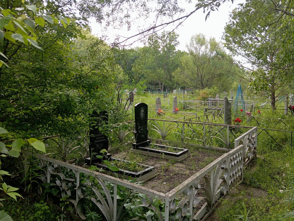6c31fc33-10d6-476a-84a4-7a87dbc08200 Дементьев Александр Федорович