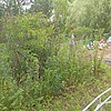 Долматов Иван Иванович