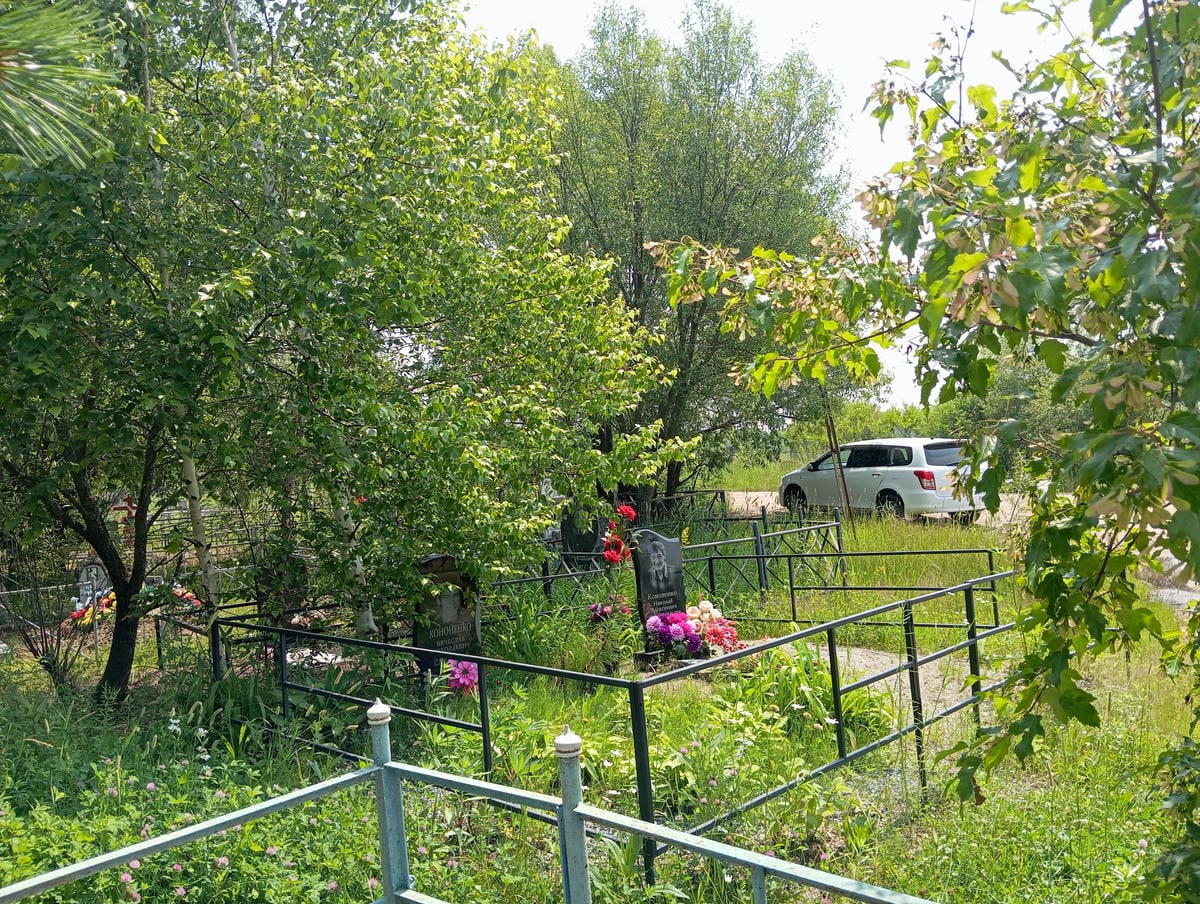 6e1b4984-de03-4539-80a7-dbced71e4100 Кононенко Николай Алексеевич