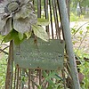Глызина Елена Васильевна