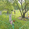 Войничая Роза Ивановна