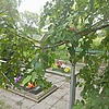 Картавая Матрена Ефимовна