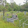 Скепнистая Людмила Степановна