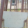 Сорока Петр Петрович
