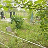 Бородай Анна Константиновна