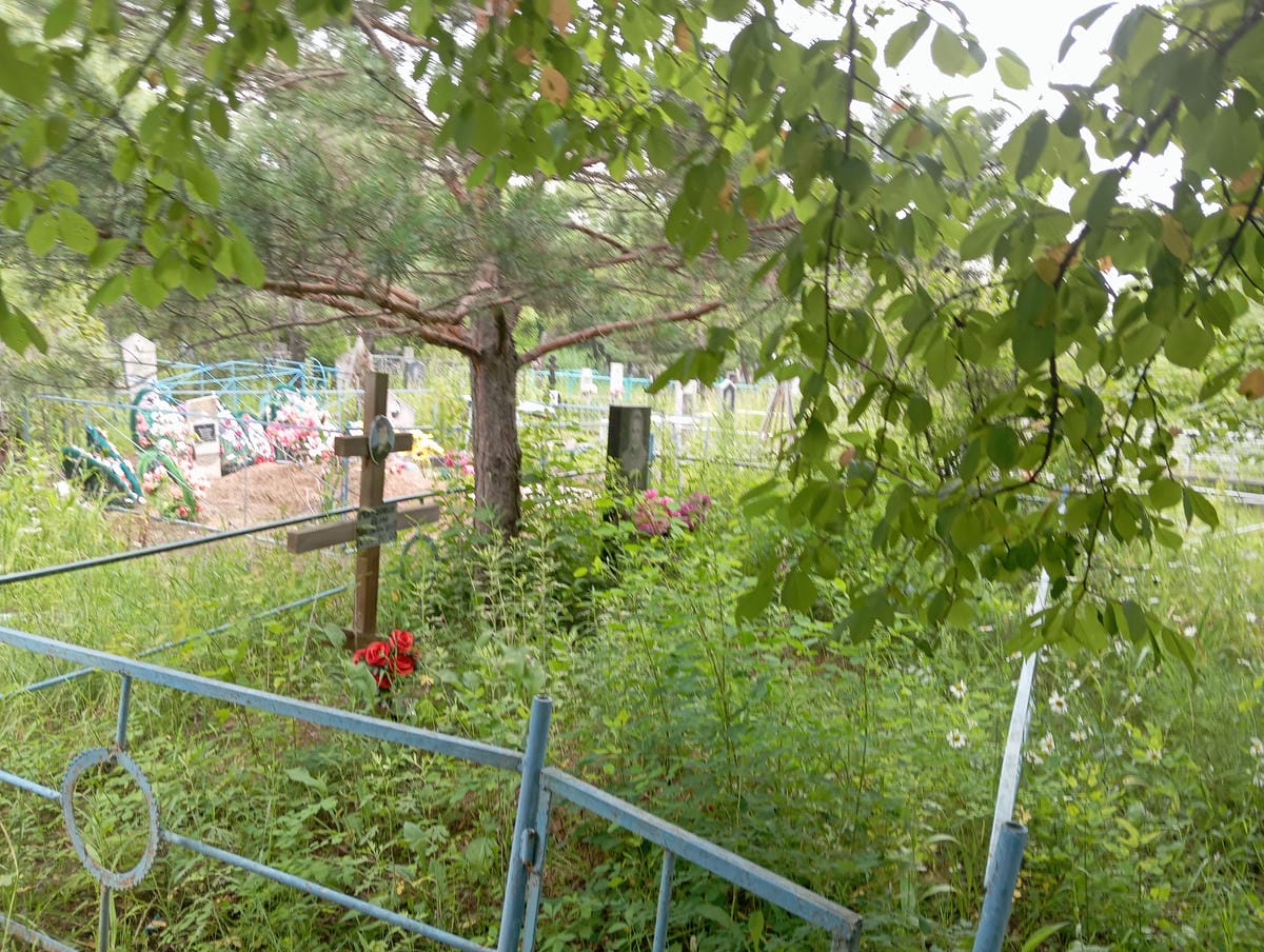 784f0d54-de74-496c-94ff-3274e02e71f3 Головина Вера Васильевна