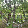 Федорова Татьяна Савельевна