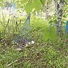 Смирнова Надежда Васильевна