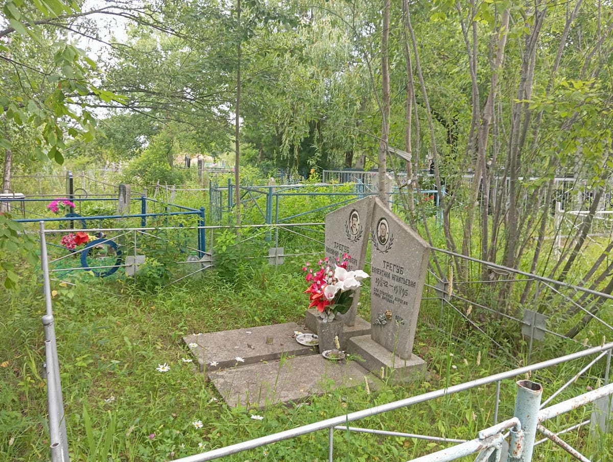 7c778a93-18b4-4fd4-ab4c-f26418072bab Трегуб Владимир Ефремович