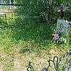 Калашников Андрей Александрович
