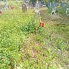 Тюрюханов Виктор Викторович