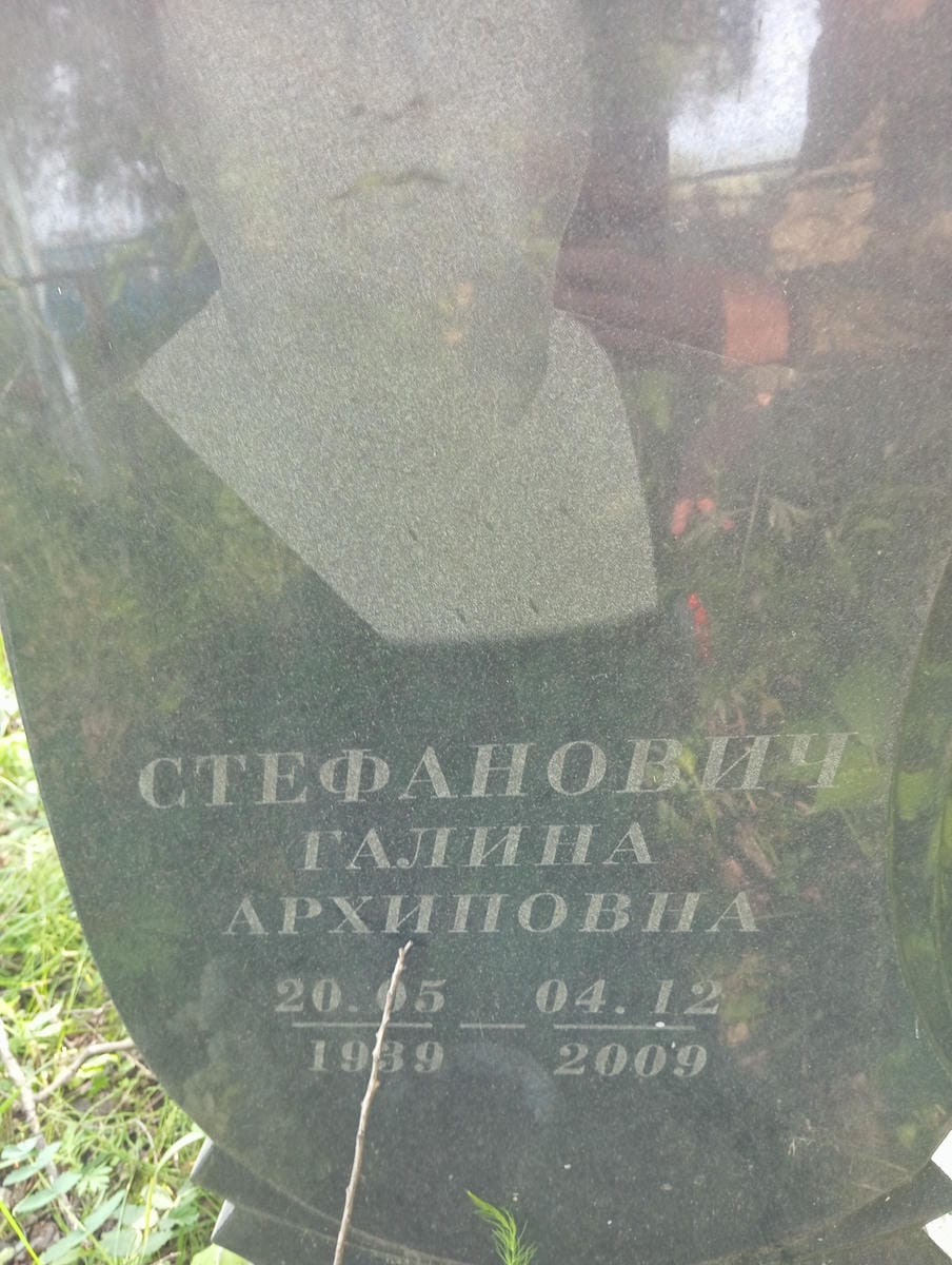 819e99b2-3d6d-47f3-a1bc-3dffcb0bcf9d Стефанович Галина Архиповна