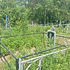 Леунов Михаил Герасимович