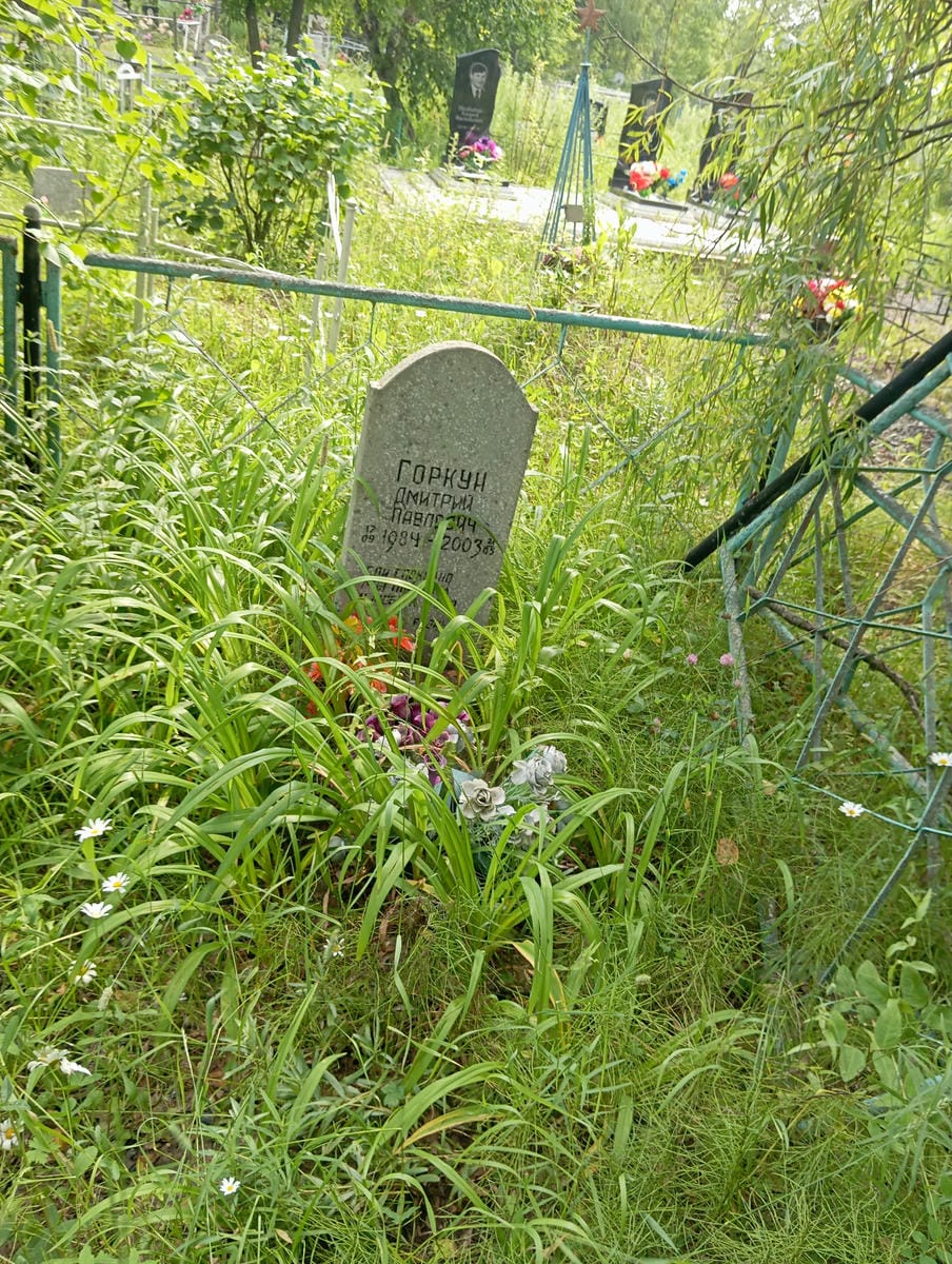 83985c79-c5ea-4473-90c6-425b4f2c1970 Горкун Дмитрий Павлович