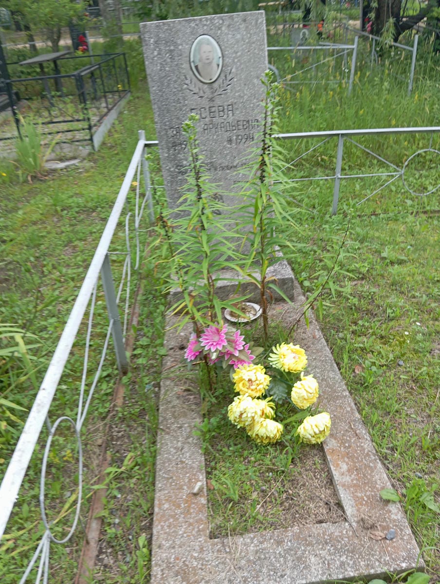 84b95901-7334-41e8-80db-d0195b3358cb Есева Заря Аркадьевна