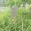 Козина Мария Никоноровна