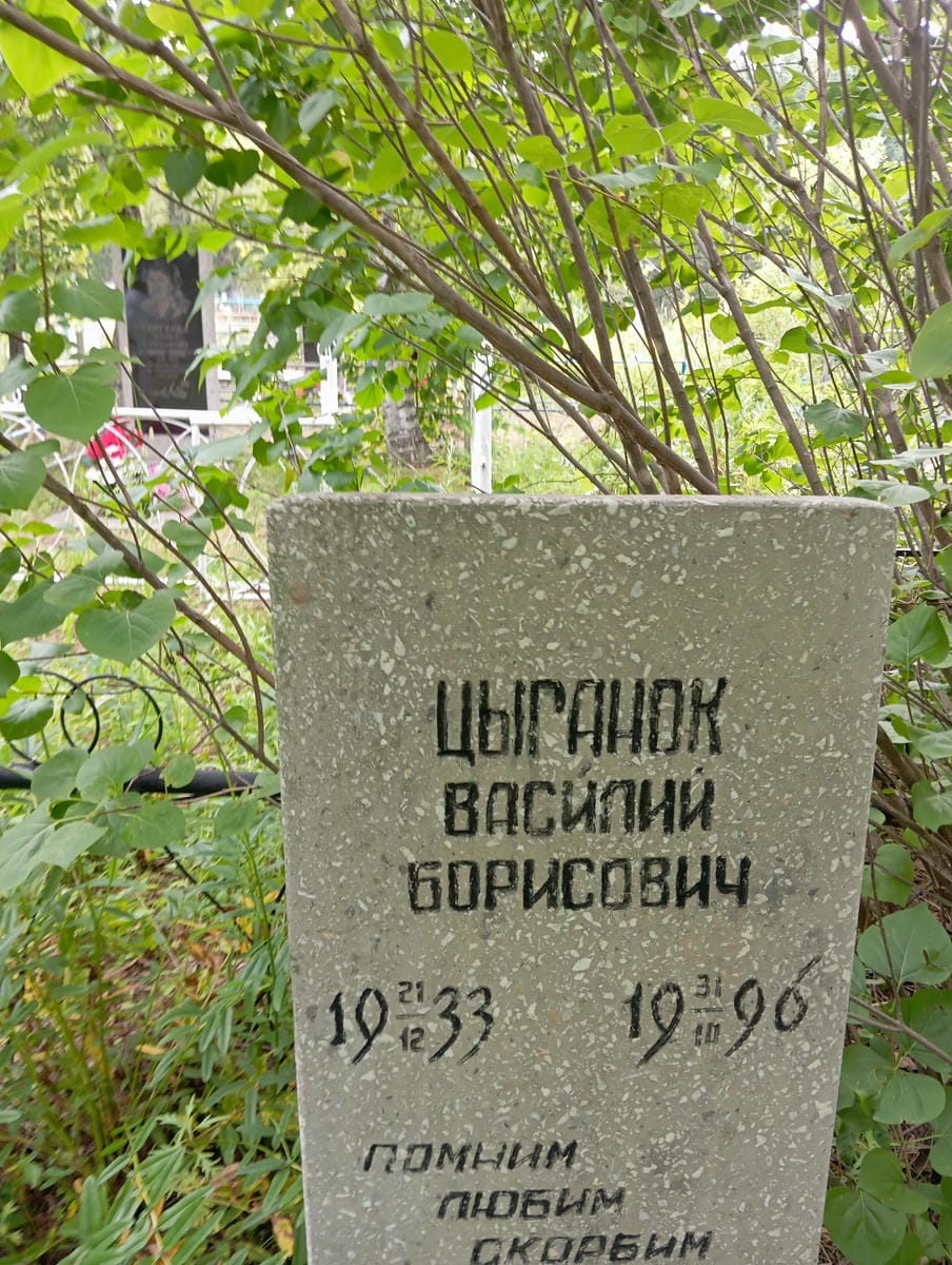 88356706-5d11-451d-a174-ac3f4023a5f5 Цыганок Василий Борисович