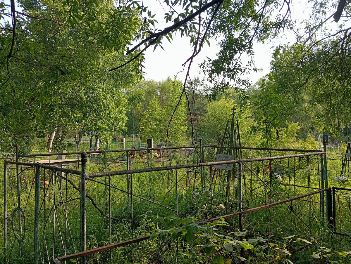 892c9f01-7172-4cbd-8eca-e9404c9ee0b5 Мищенко Татьяна Васильевна