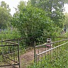 Иконников Дмитрий Романович