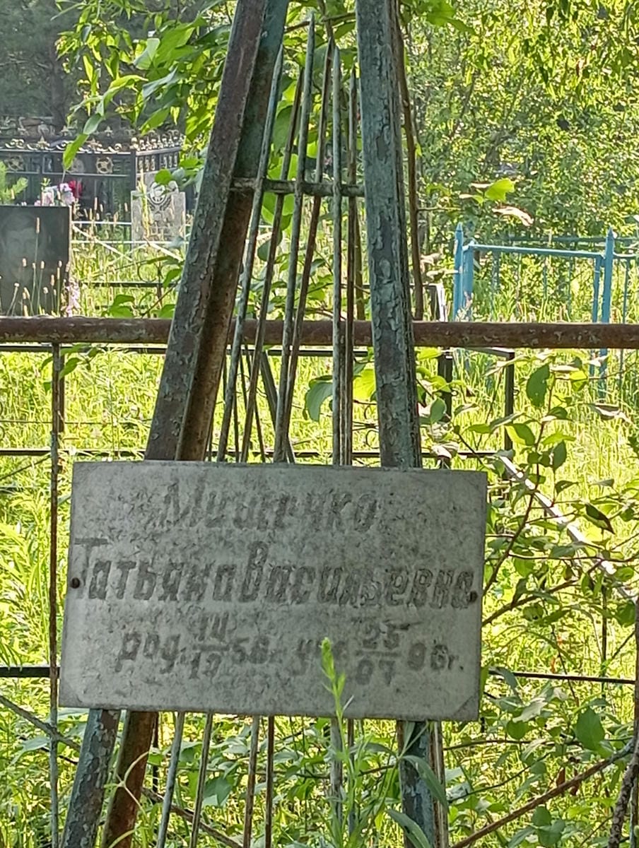 8adb5880-1905-4818-8319-84667b6389d6 Мищенко Татьяна Васильевна