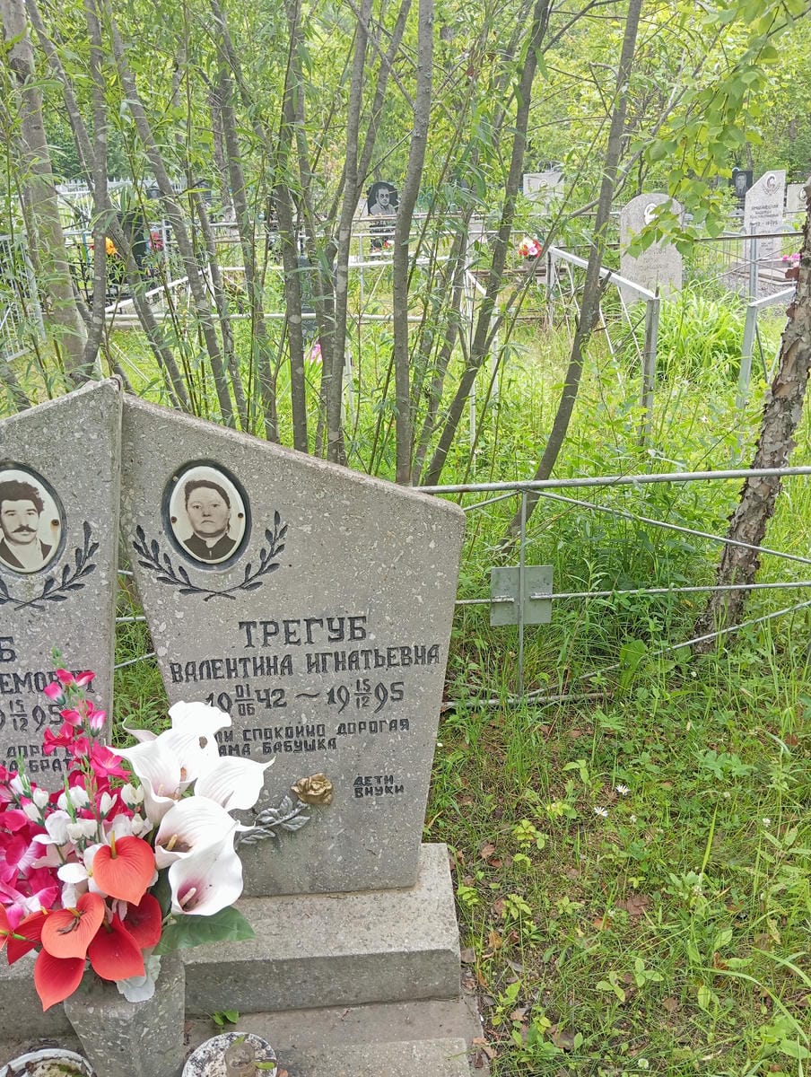 8ce51d3e-0d51-4743-b4a3-6f653d96d08c Трегуб Валентина Игнатьевна