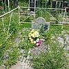 Домышев Василий Владимирович