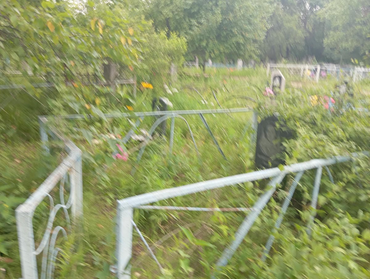 903647bd-8596-466b-baab-d0e9657c5c00 Бондаренко Галина Никитовна