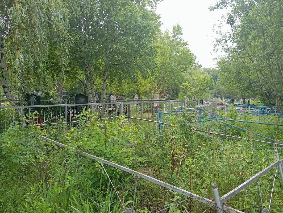 903fc90c-980b-4000-b95b-85df911739d7 Бакута Евгения Антоновна