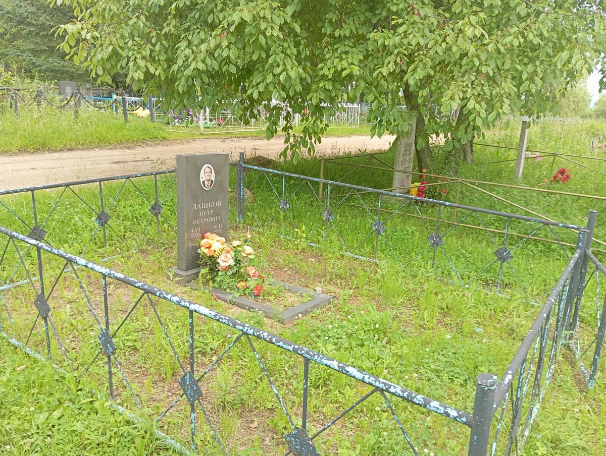 91aad7e5-5fc1-4c81-93f9-c935963e7f62 Лашков Петр Петрович
