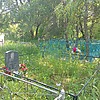 Жигленок Юрий Александрович