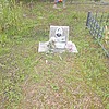 Илензеер Ирина Петровна